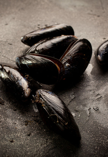 How to prepare, store and cook mussels.