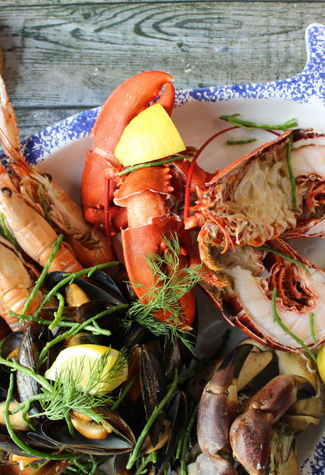 From the Sea to the Table: Rediscovering Thanksgiving Traditions
