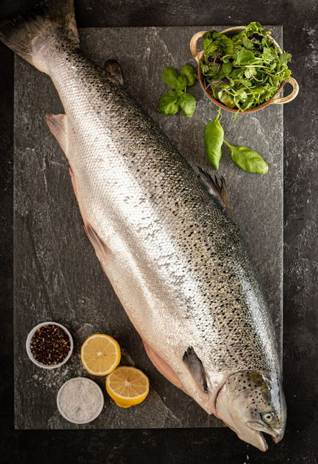 Navigating the Waters: Understanding the Seasonal Variations in Scotland's Fish Supply