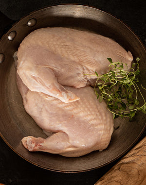 Chicken Breast