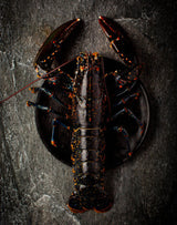 Cooked Whole Lobster
