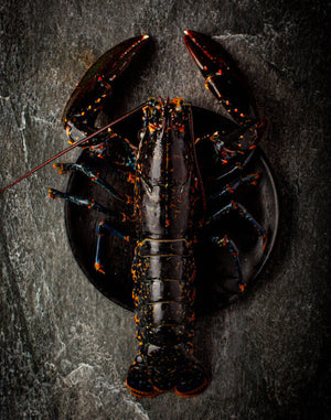 Cooked Whole Lobster