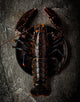 Cooked Whole Lobster