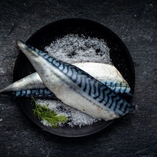 Fish People fishmonger counter