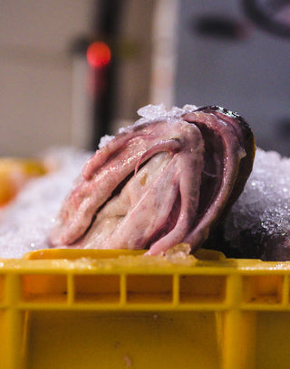 Freshly landed fish from trusted fishermen