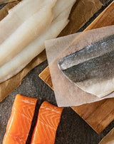 Fresh fish selection