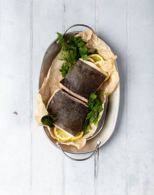 Halibut Fillet