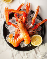 Langoustine