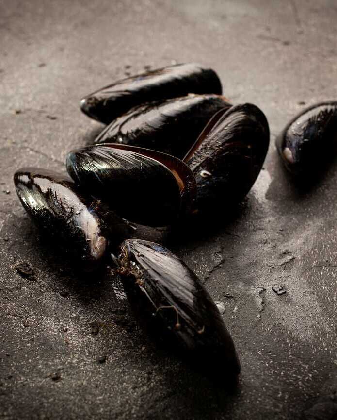 Mussels with Thai Spiced Coconut & Lime Broth + Thai Fish Cakes