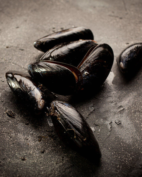 Mussels