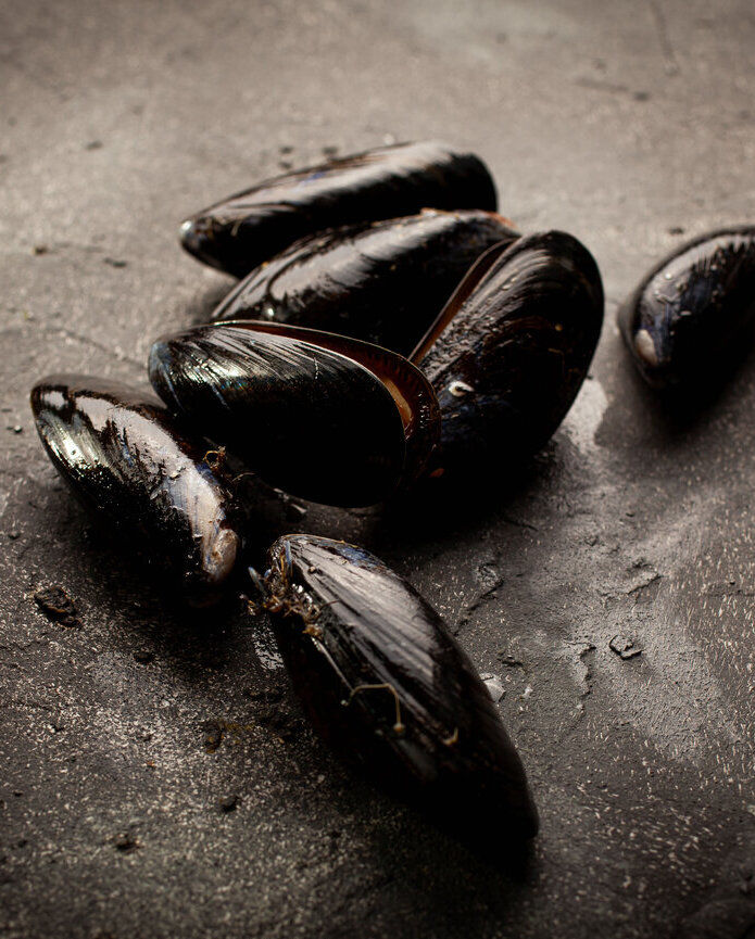 Mussels