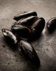 Mussels