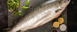 Navigating the Waters: Understanding the Seasonal Variations in Scotland's Fish Supply