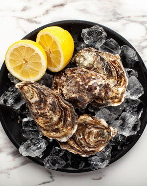 Oysters