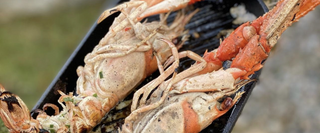 Langoustines With Garlic Butter