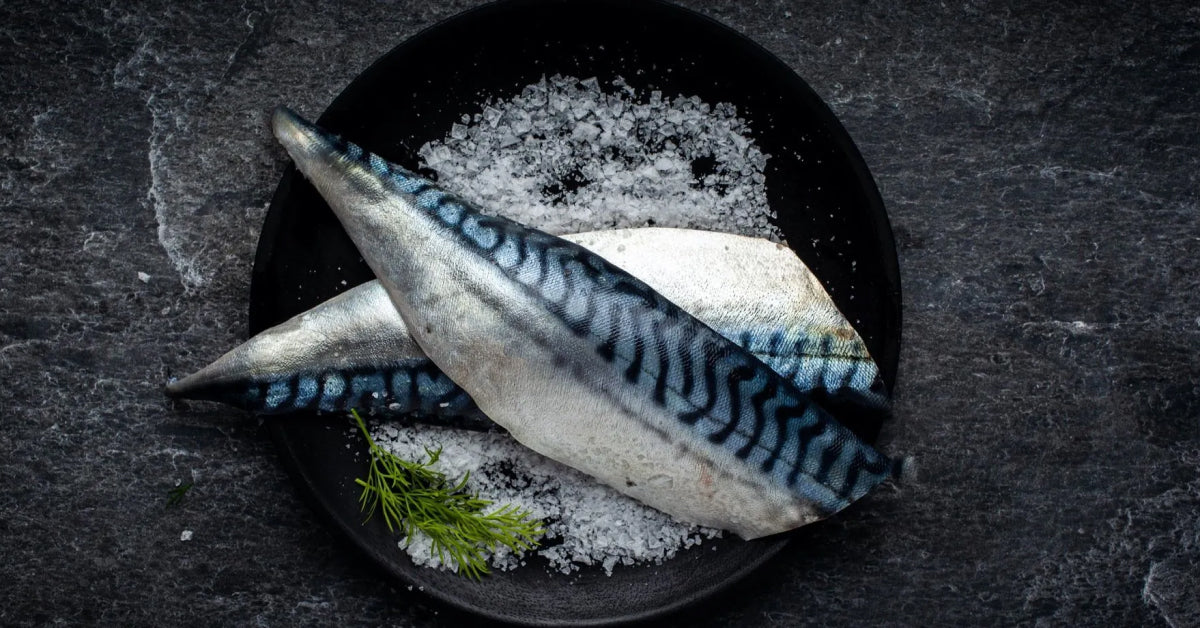 Fresh Fish – The Fish People