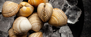 What's In Season: November Edition