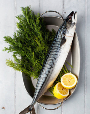 Whole Mackerel